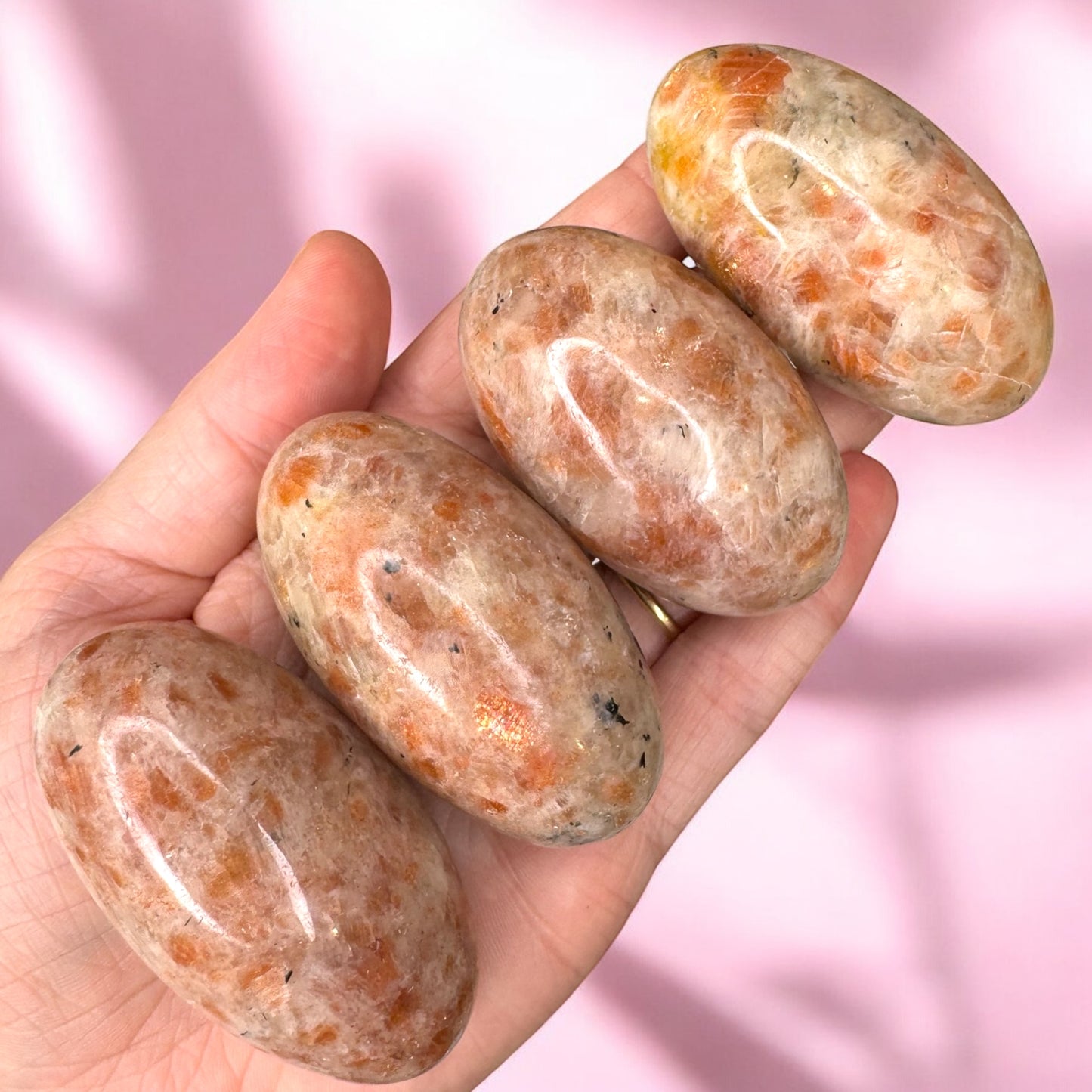 Sunstone Shivas | Intuitively Chosen