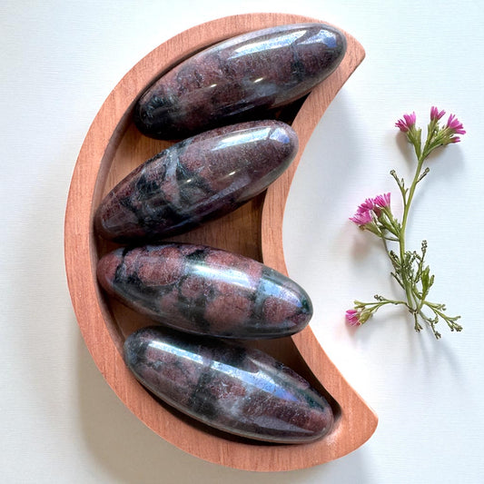 Garnet Shivas | Intuitively Chosen