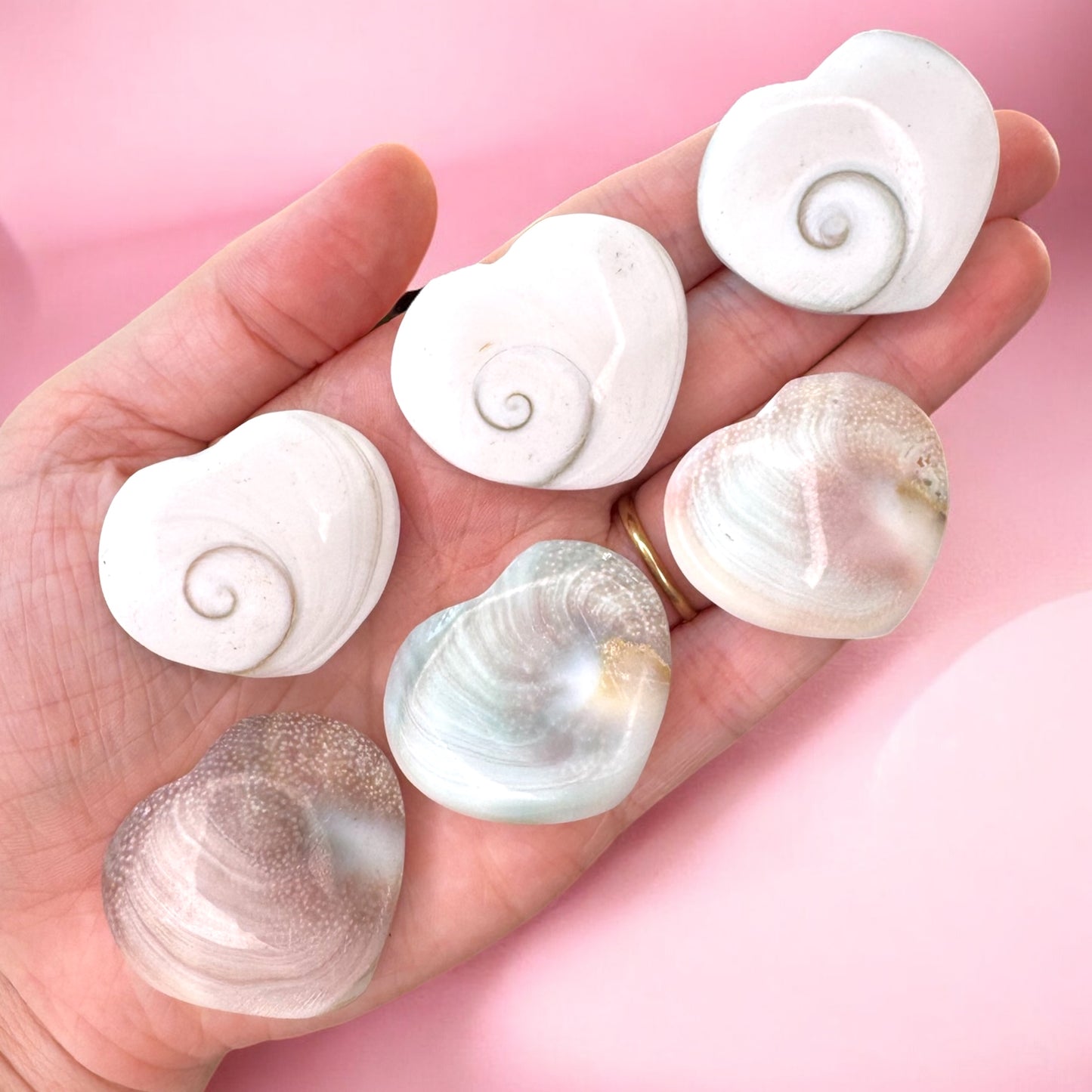 Mermaid Coins (Shiva Shell Hearts)