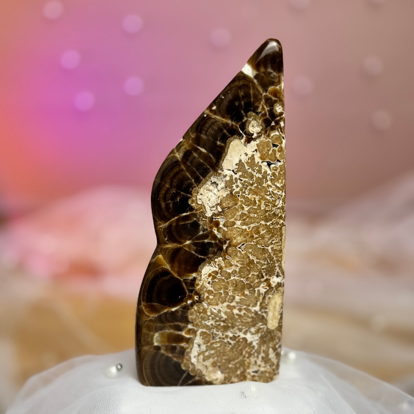 Leopard Chocolate Calcite Freeform