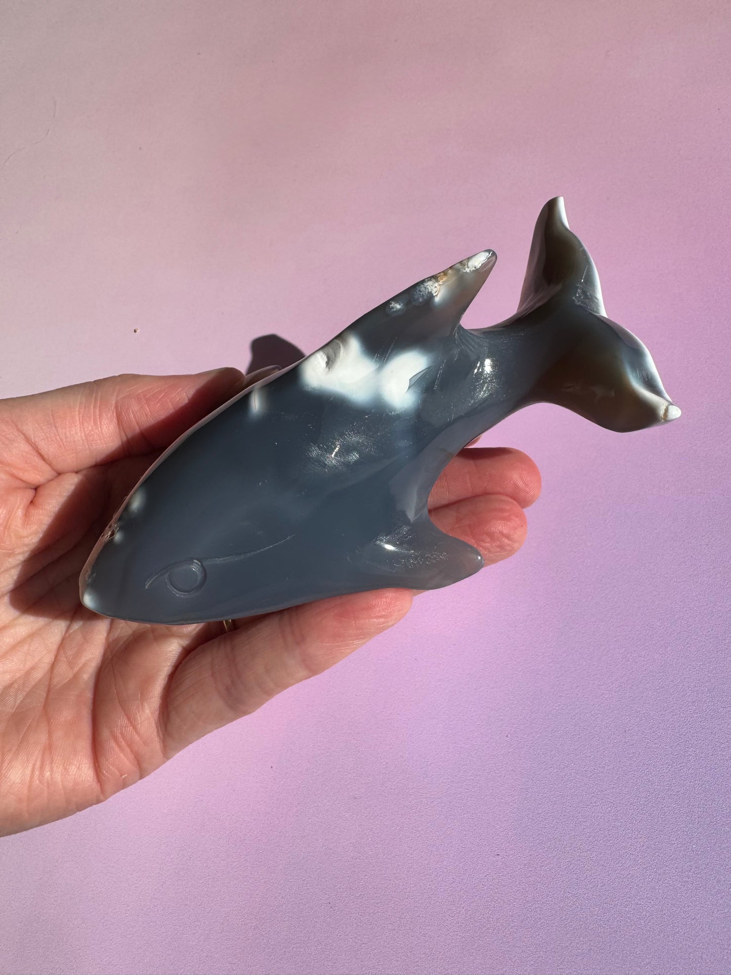 Orca Agate Whale Shark Carving