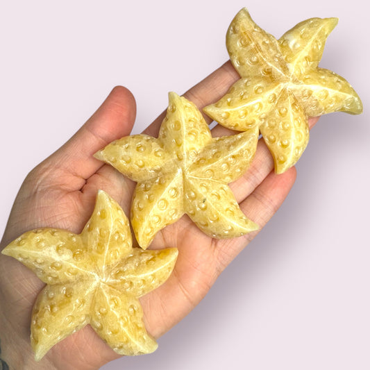 Orange Calcite Starfish Carving | Intuitively Chosen