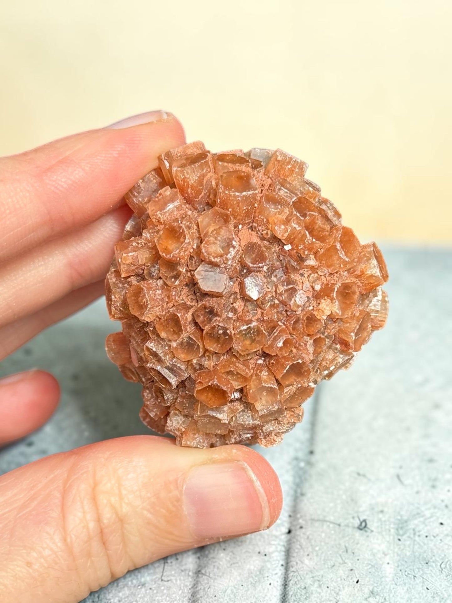 Aragonite Sputnik Cluster