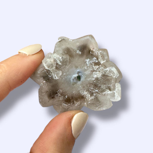 Stalactite Slice Specimen (A)