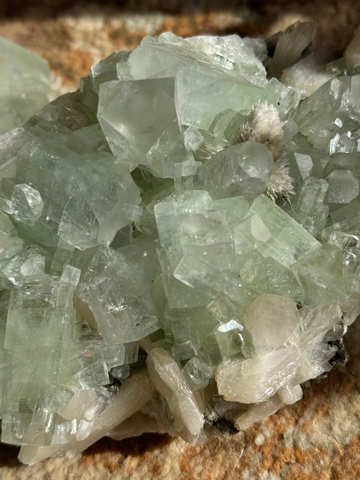 Sea Foam Green Apophyllite with Peach Silbite and Mordenite Specimen