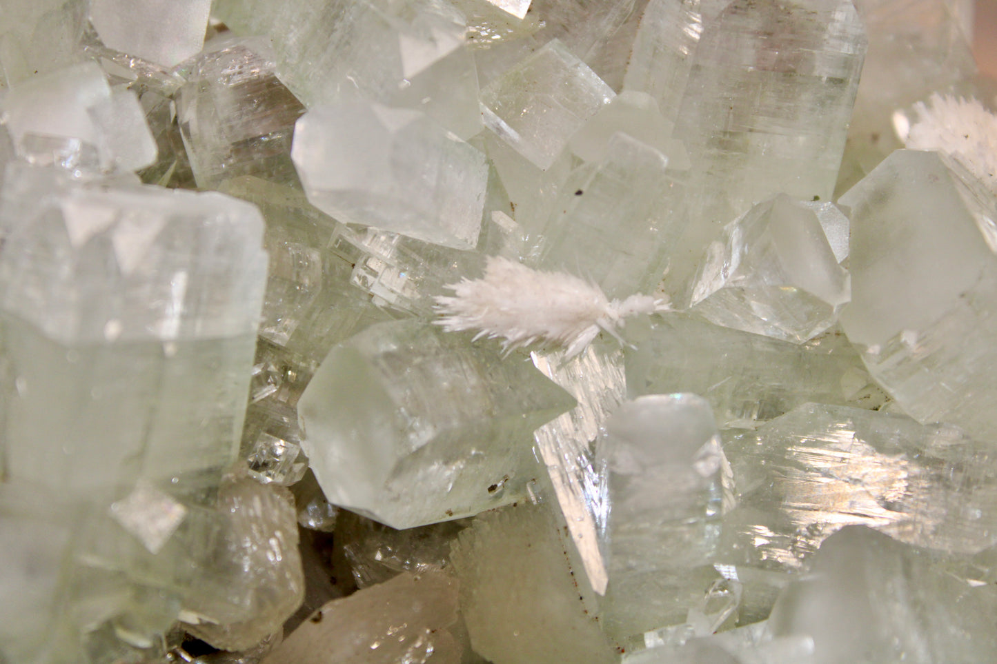 Sea Foam Green Apophyllite with Peach Silbite and Mordenite Specimen