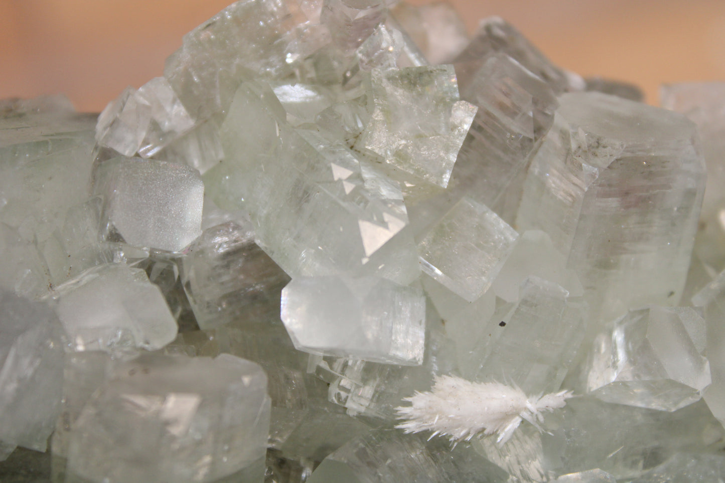 Sea Foam Green Apophyllite with Peach Silbite and Mordenite Specimen