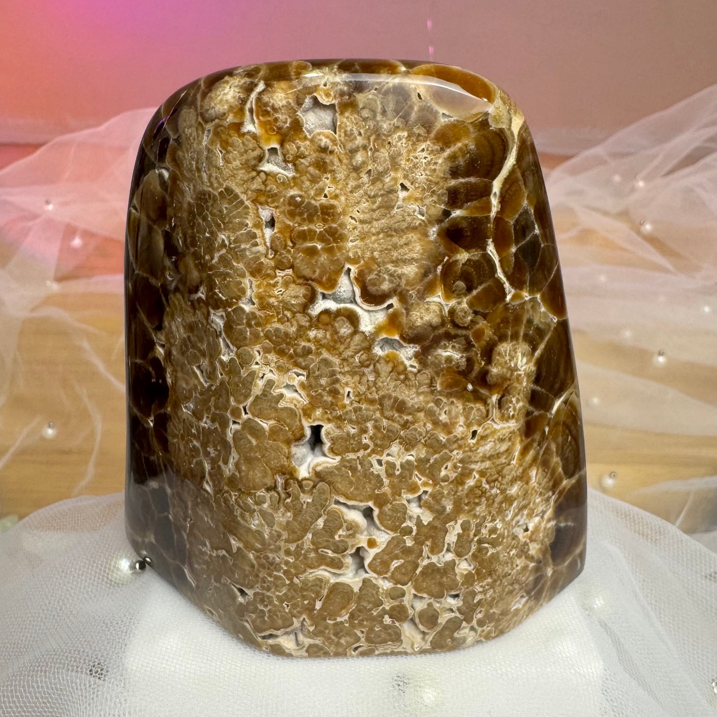 Leopard Chocolate Calcite Freeform