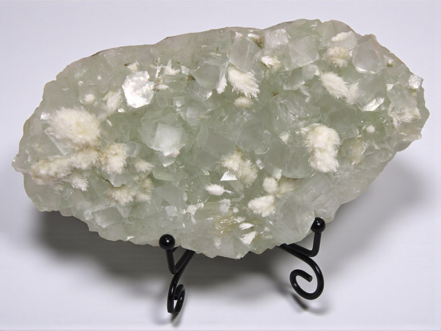 Sea Foam Green Apophyllite with Mordenite Specimen