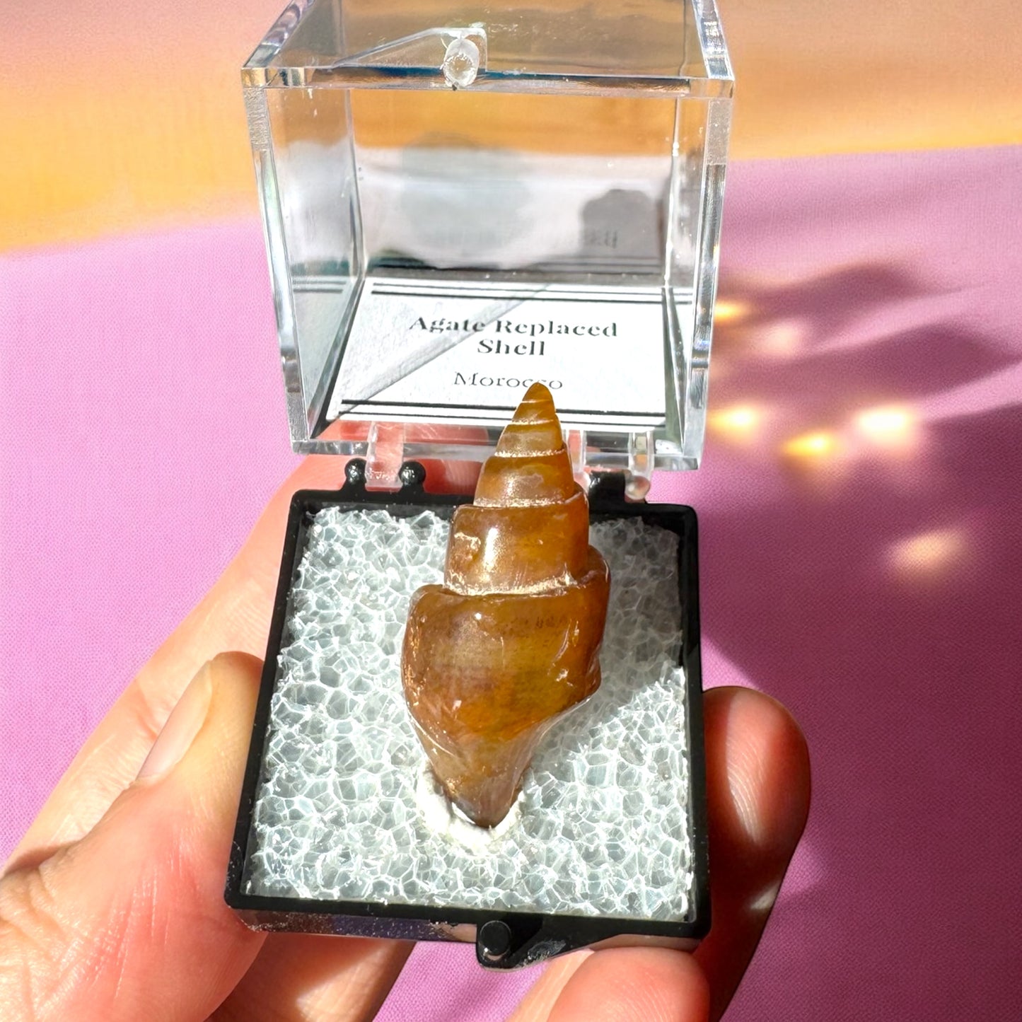Agate Replaced Shell
