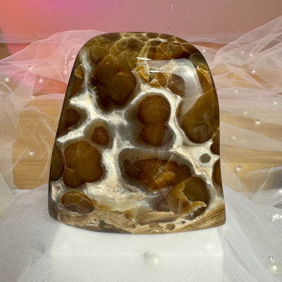 Leopard Chocolate Calcite Freeform