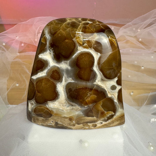 Leopard Chocolate Calcite Freeform