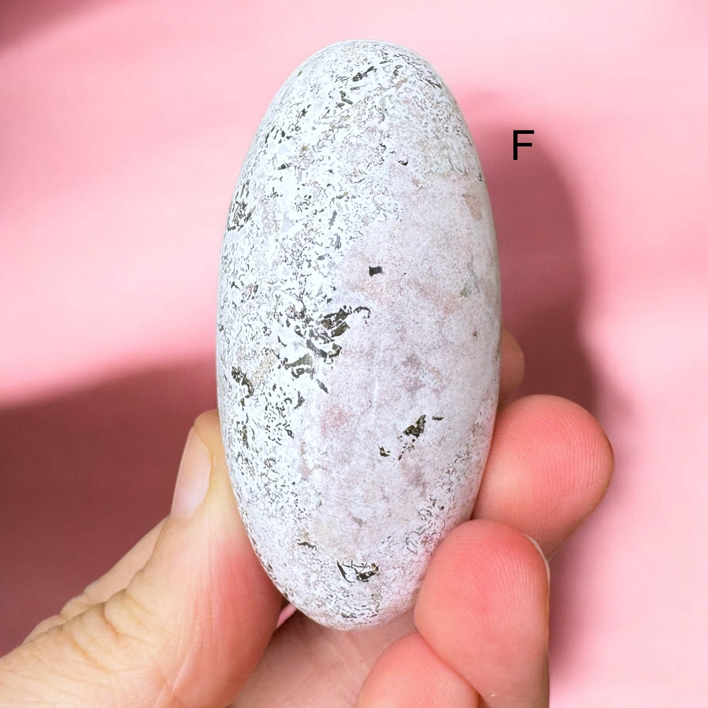 Unicorn Jasper Shivas | Choose Your Own
