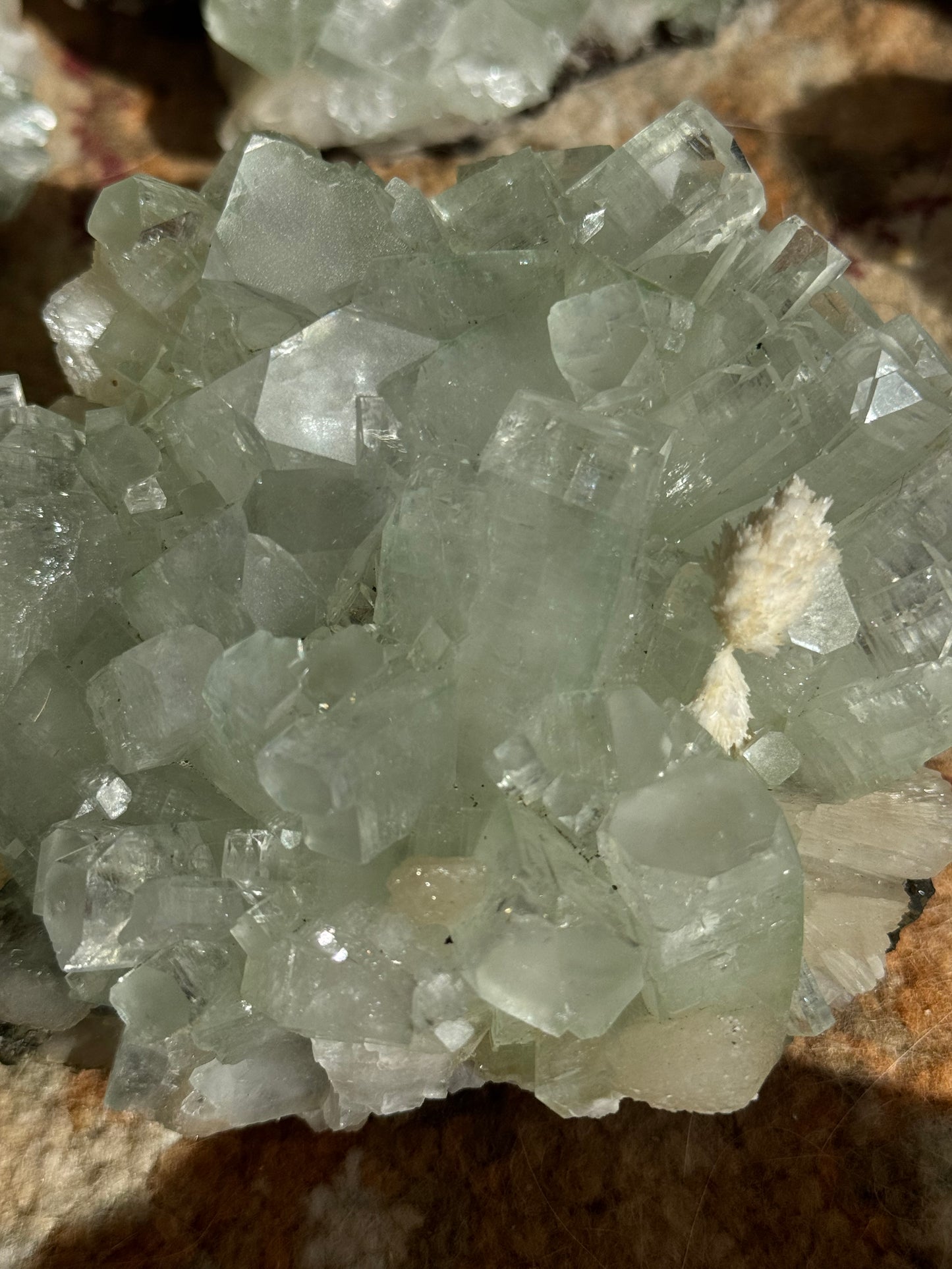 Sea Foam Green Apophyllite with Peach Silbite and Mordenite Specimen