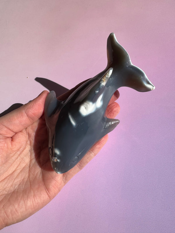 Orca Agate Whale Shark Carving
