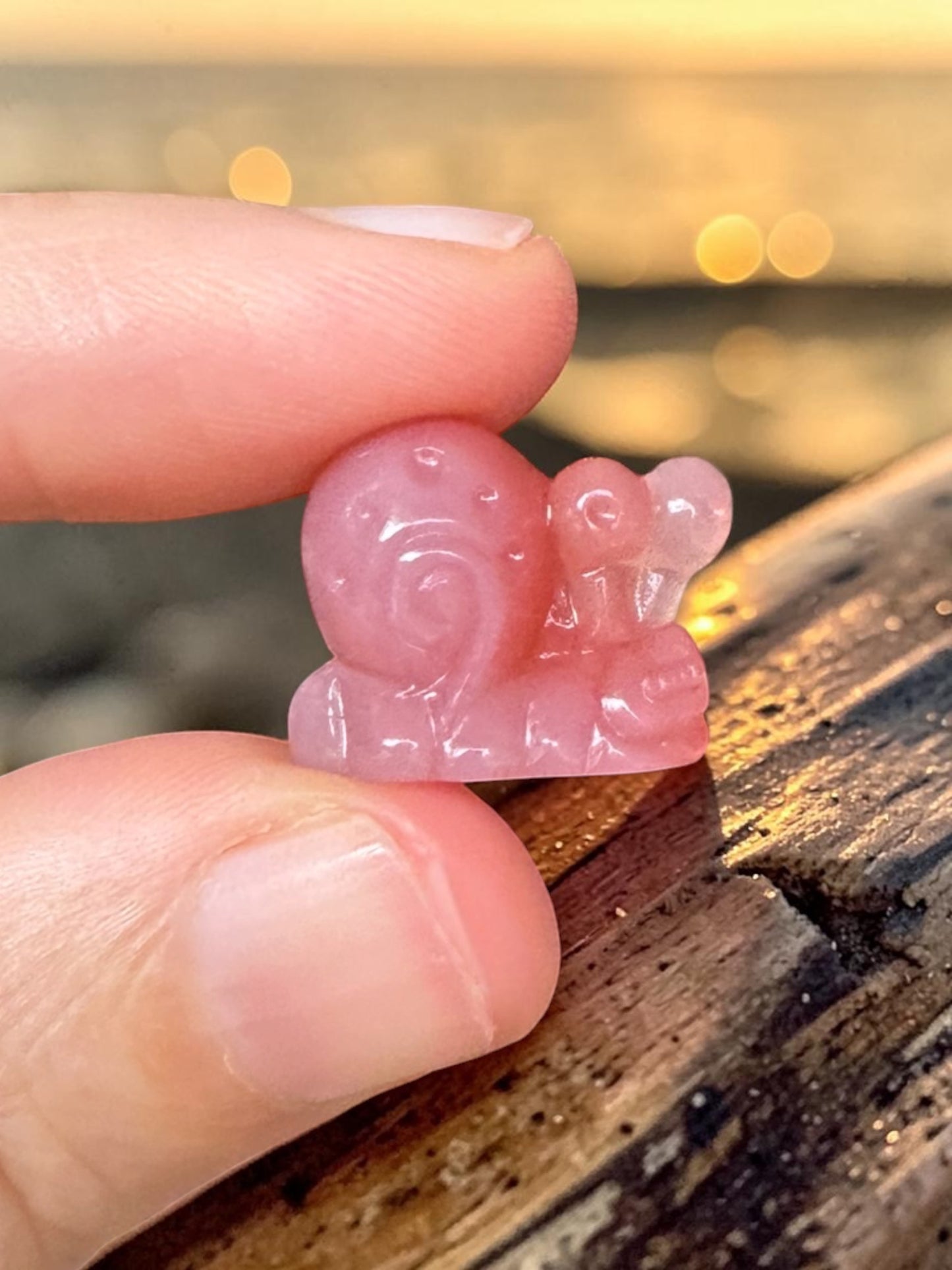 Alashan Agate Mini Flying Snail Carving