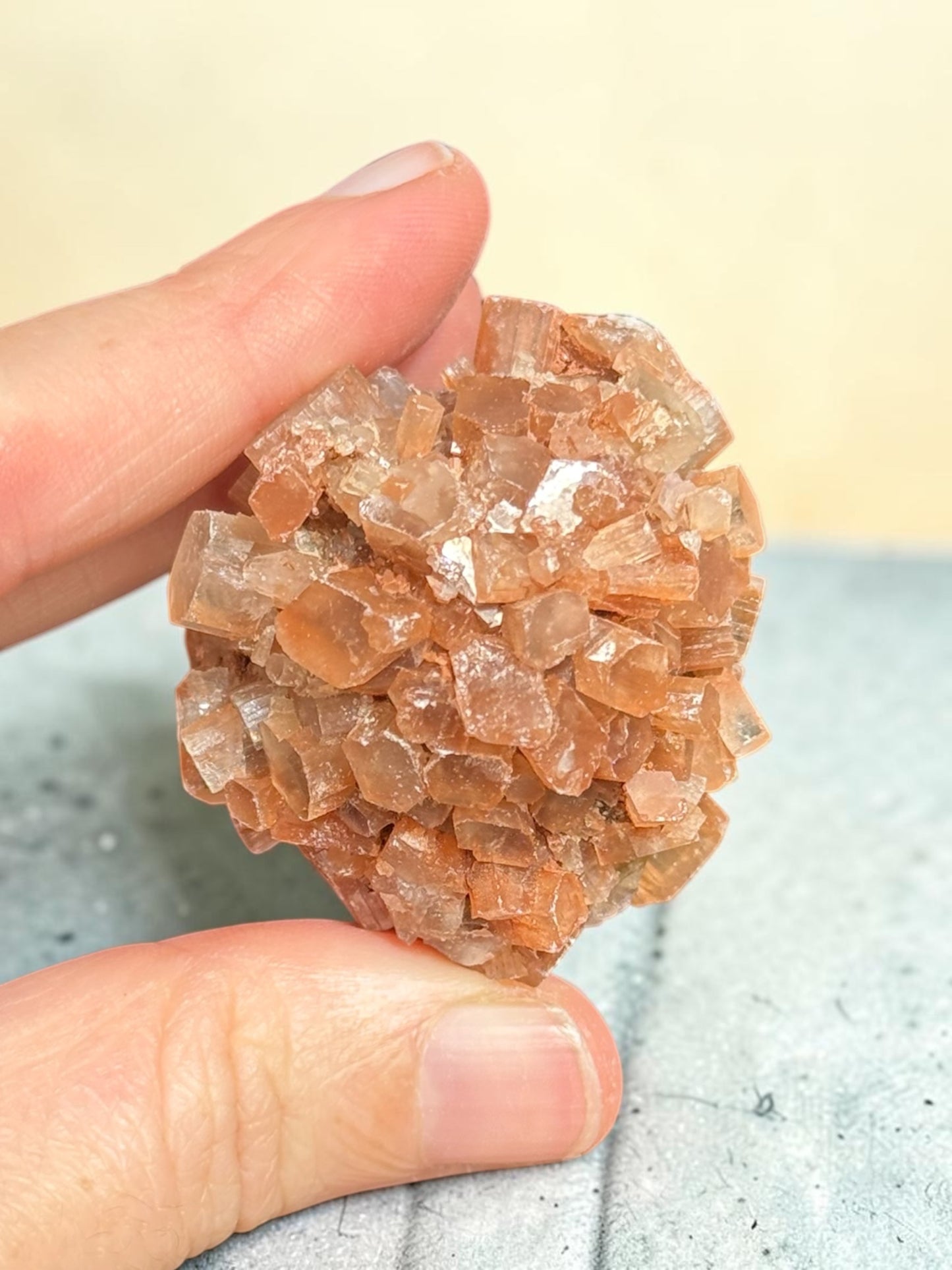 Aragonite Sputnik Cluster