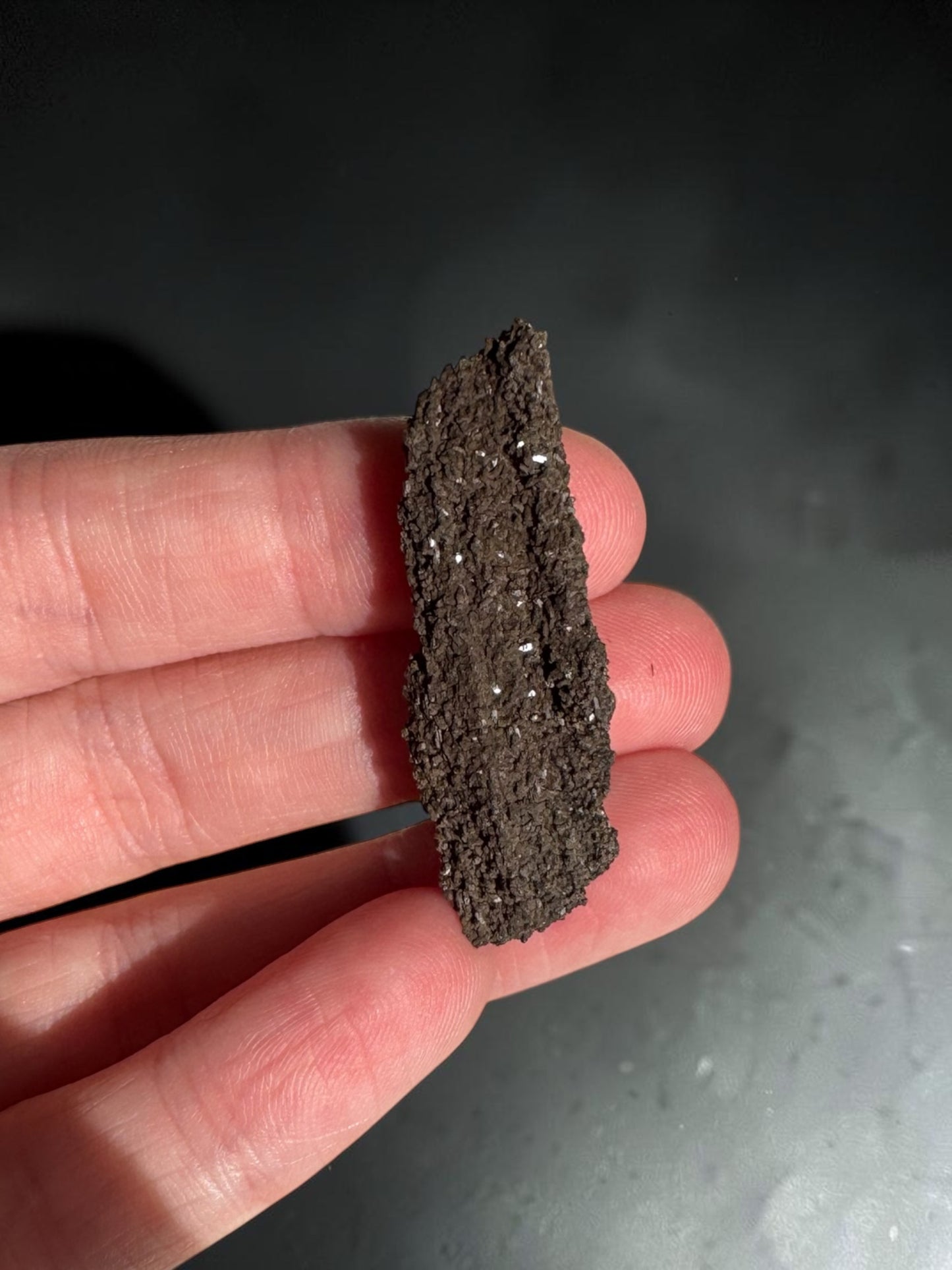 Sparkly Permineralised Fossil Wood Specimen