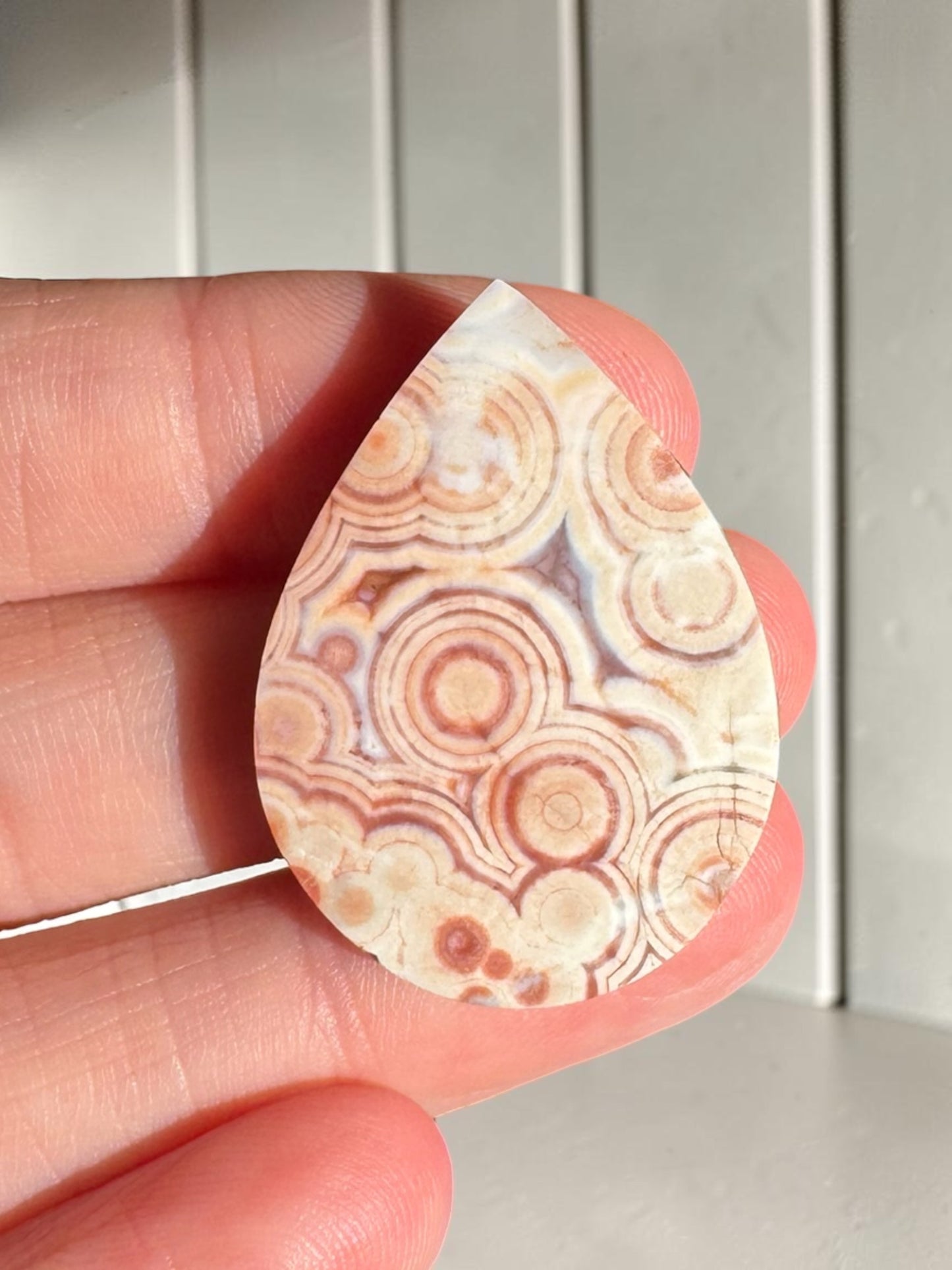 Ocean Jasper Cab