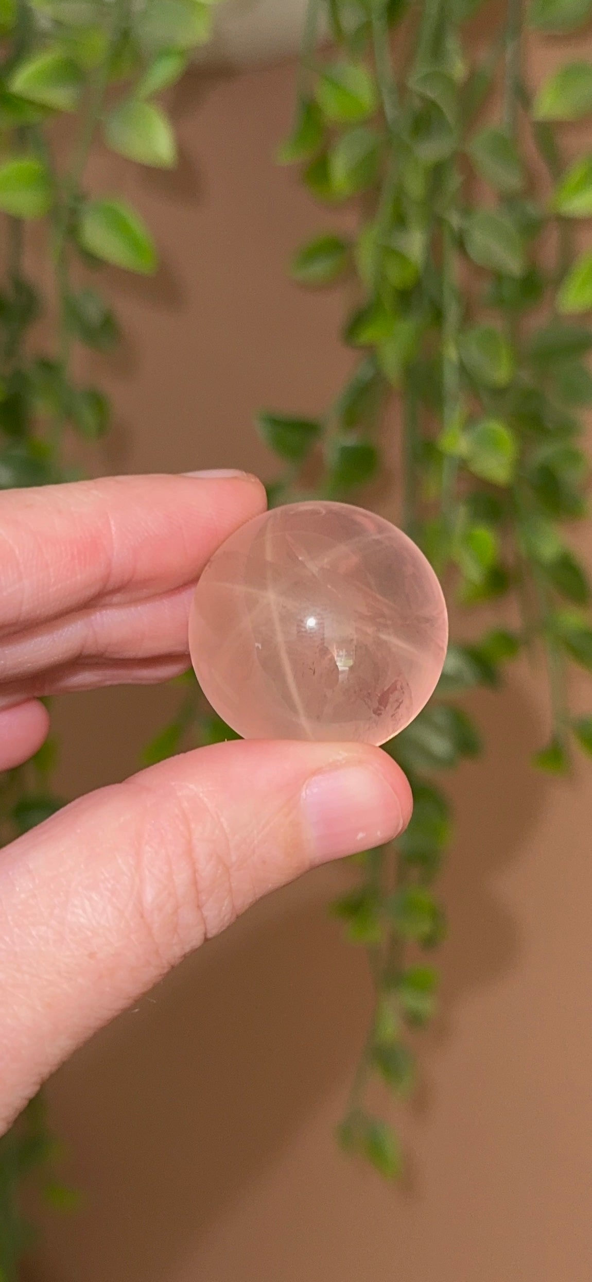 HQ Soft Burnt Rose Water Rose Quartz Sphere with Asterim