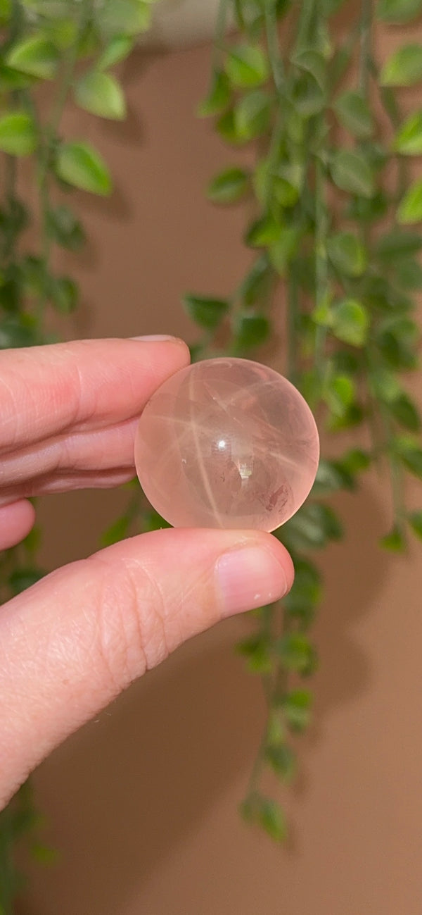 HQ Soft Burnt Rose Water Rose Quartz Sphere with Asterim