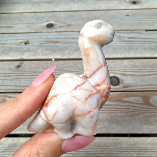 Network Jasper Dino Carving