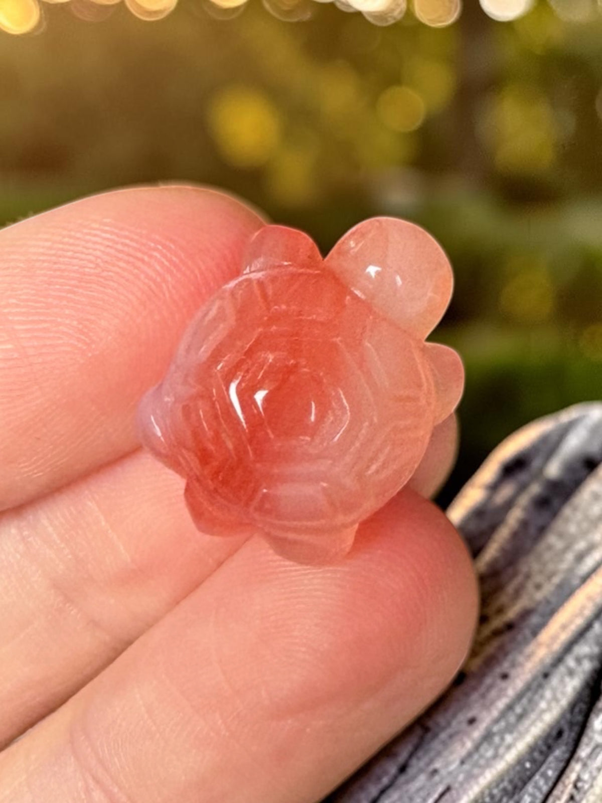 Alashan Agate Mini Turtle Carving
