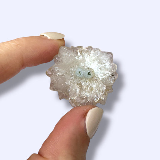 Stalactite Slice Specimen (A)