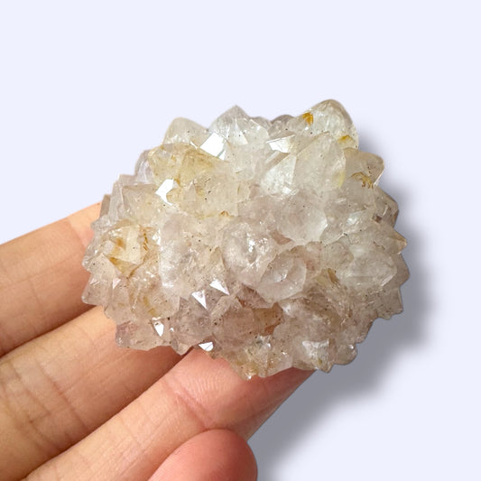 Stalactite Slice Specimen (G)