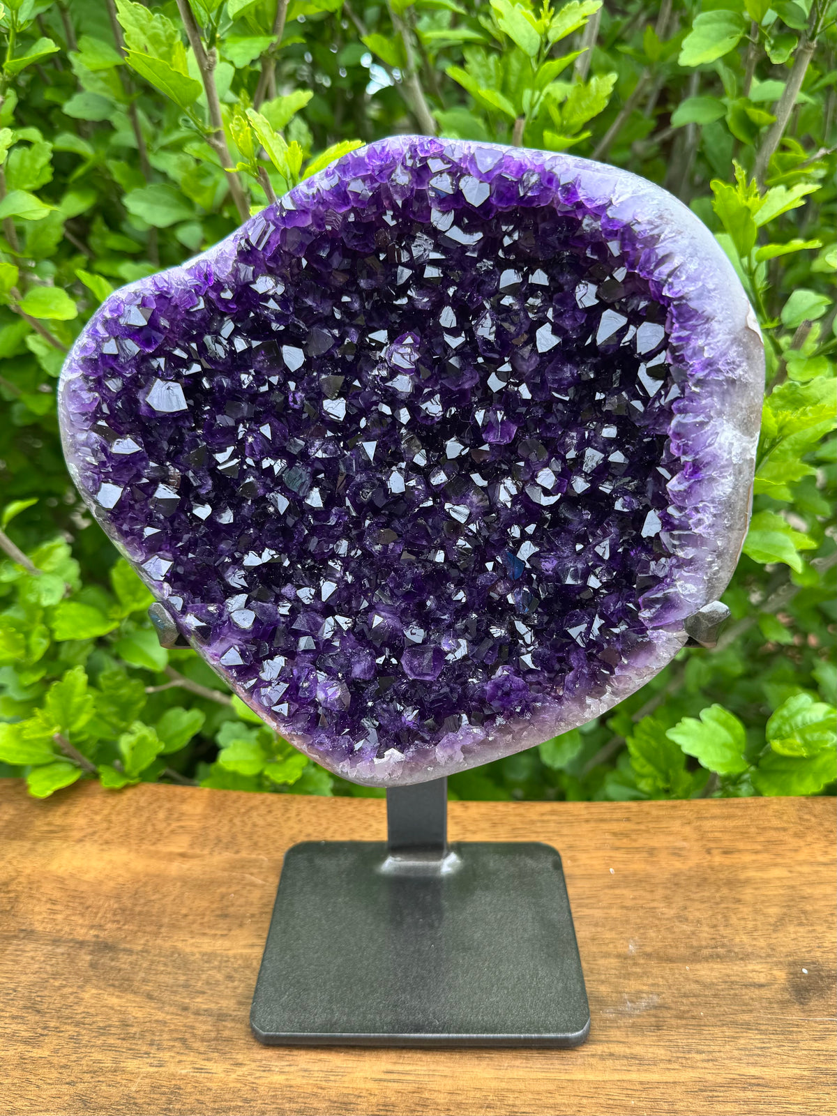 Extra Grade Uruguay Amethyst Statement on Stand