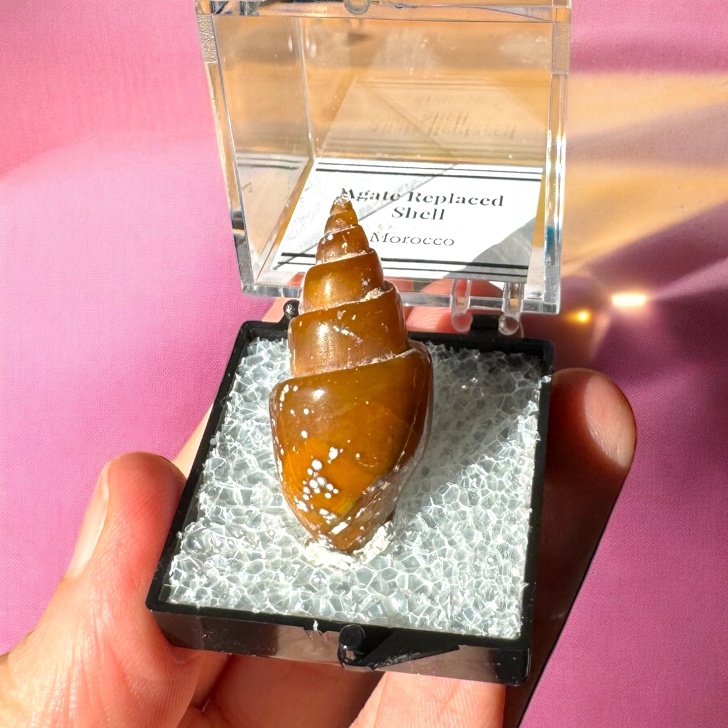 Agate Replaced Shell