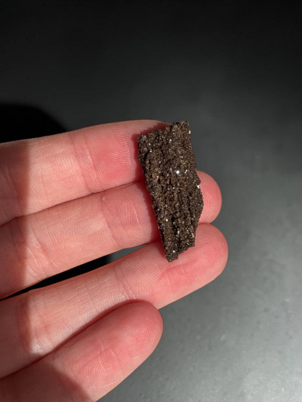 Sparkly Permineralised Fossil Wood Specimen
