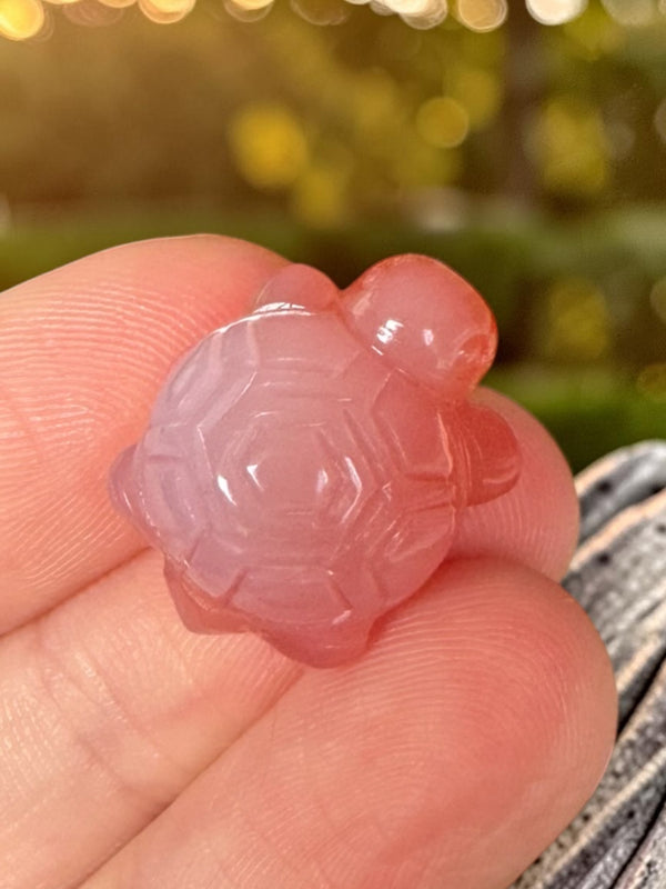 Alashan Agate Mini Turtle Carving