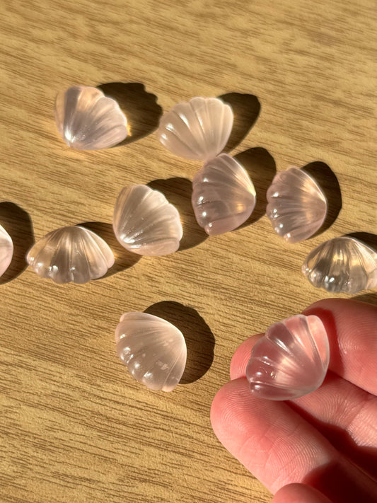 Rose Quartz Mini Shell Carving | Intuitively Chosen