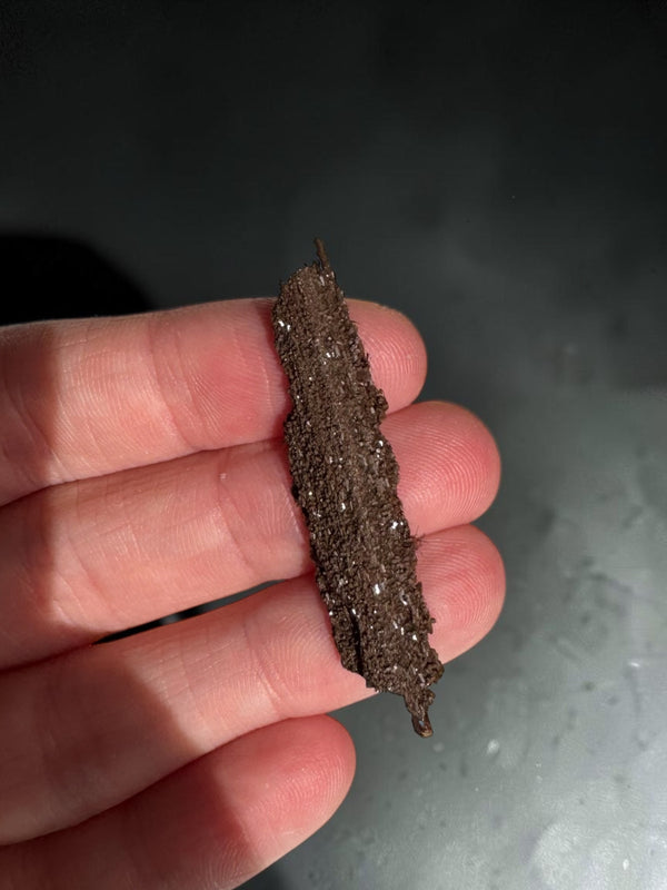 Sparkly Permineralised Fossil Wood Specimen