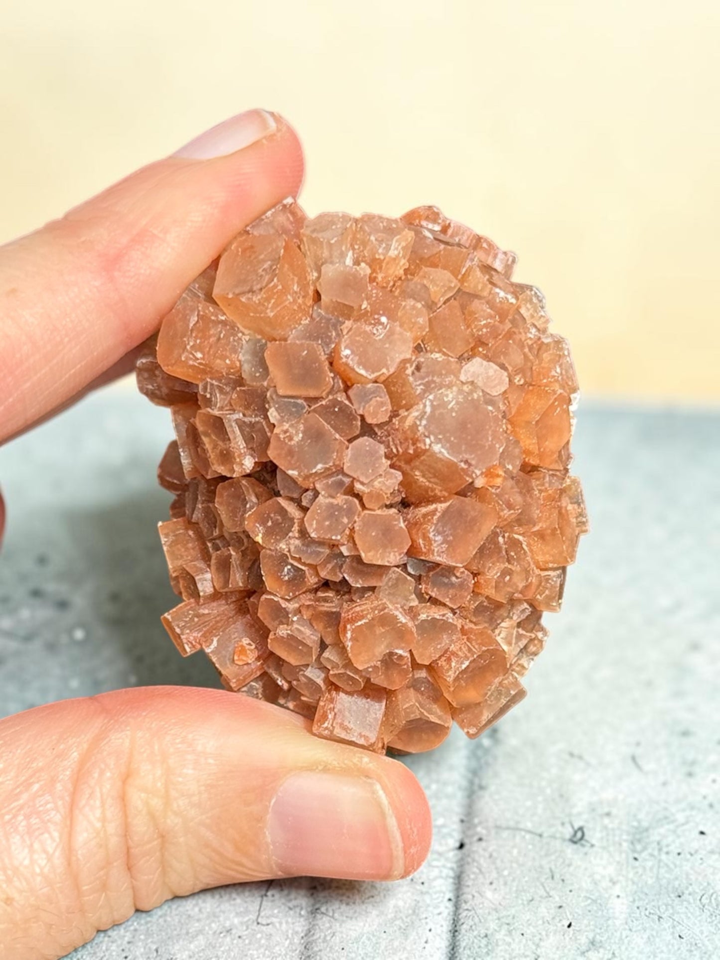 Aragonite Sputnik Cluster