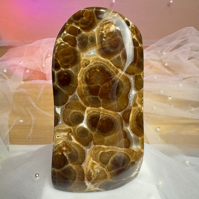 Leopard Chocolate Calcite Freeform