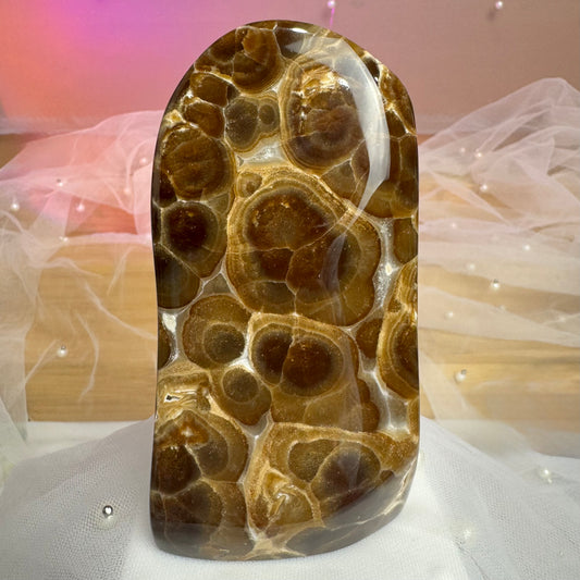 Leopard Chocolate Calcite Freeform