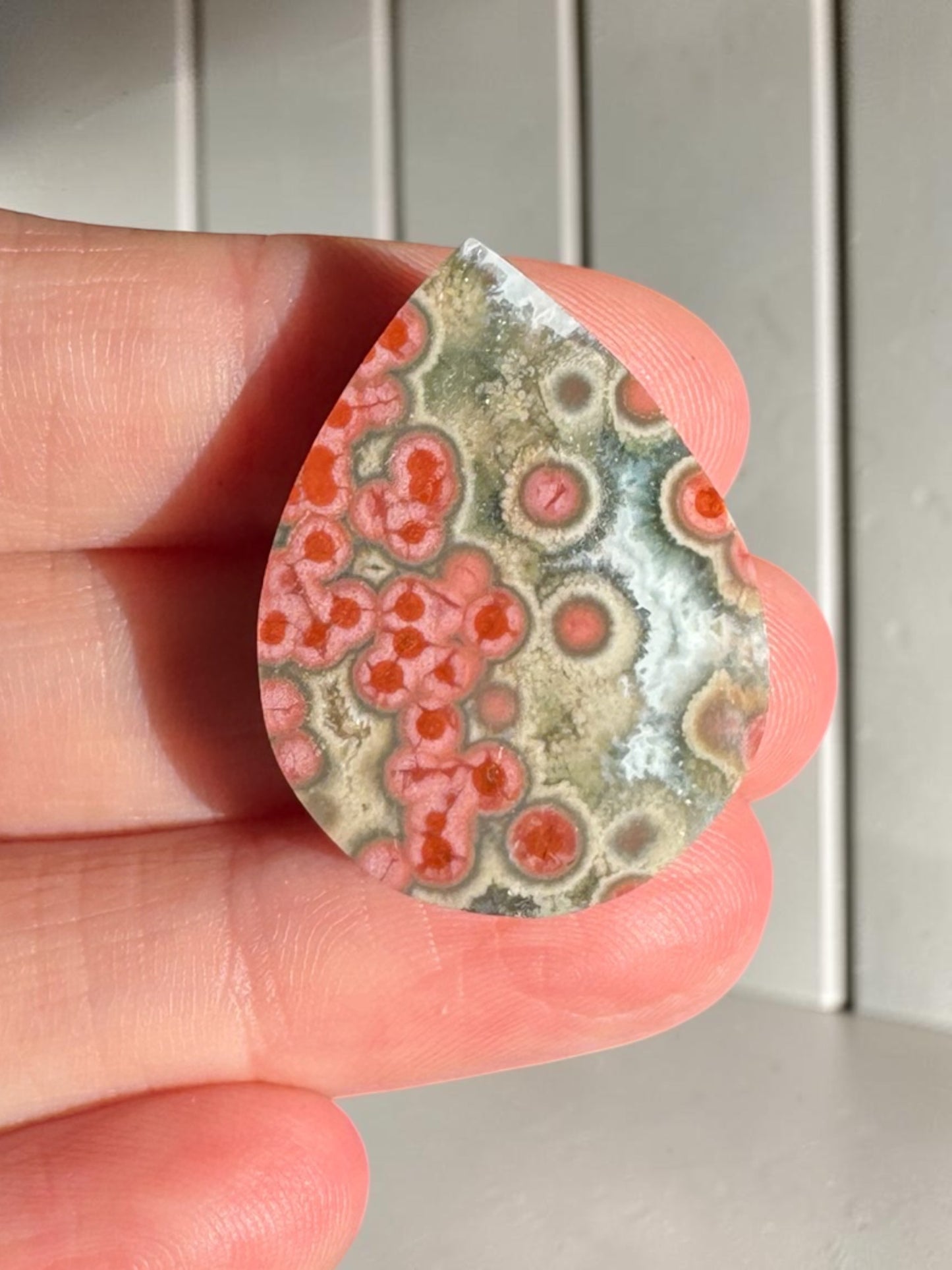Ocean Jasper Cab
