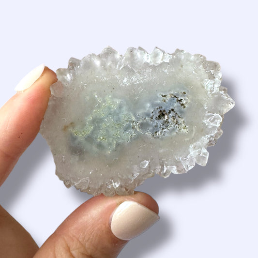 Stalactite Slice Specimen (I)