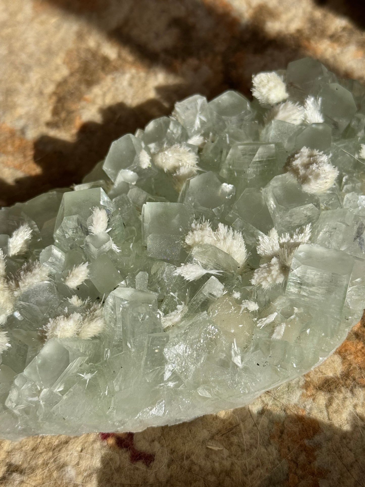 Sea Foam Green Apophyllite with Mordenite Specimen