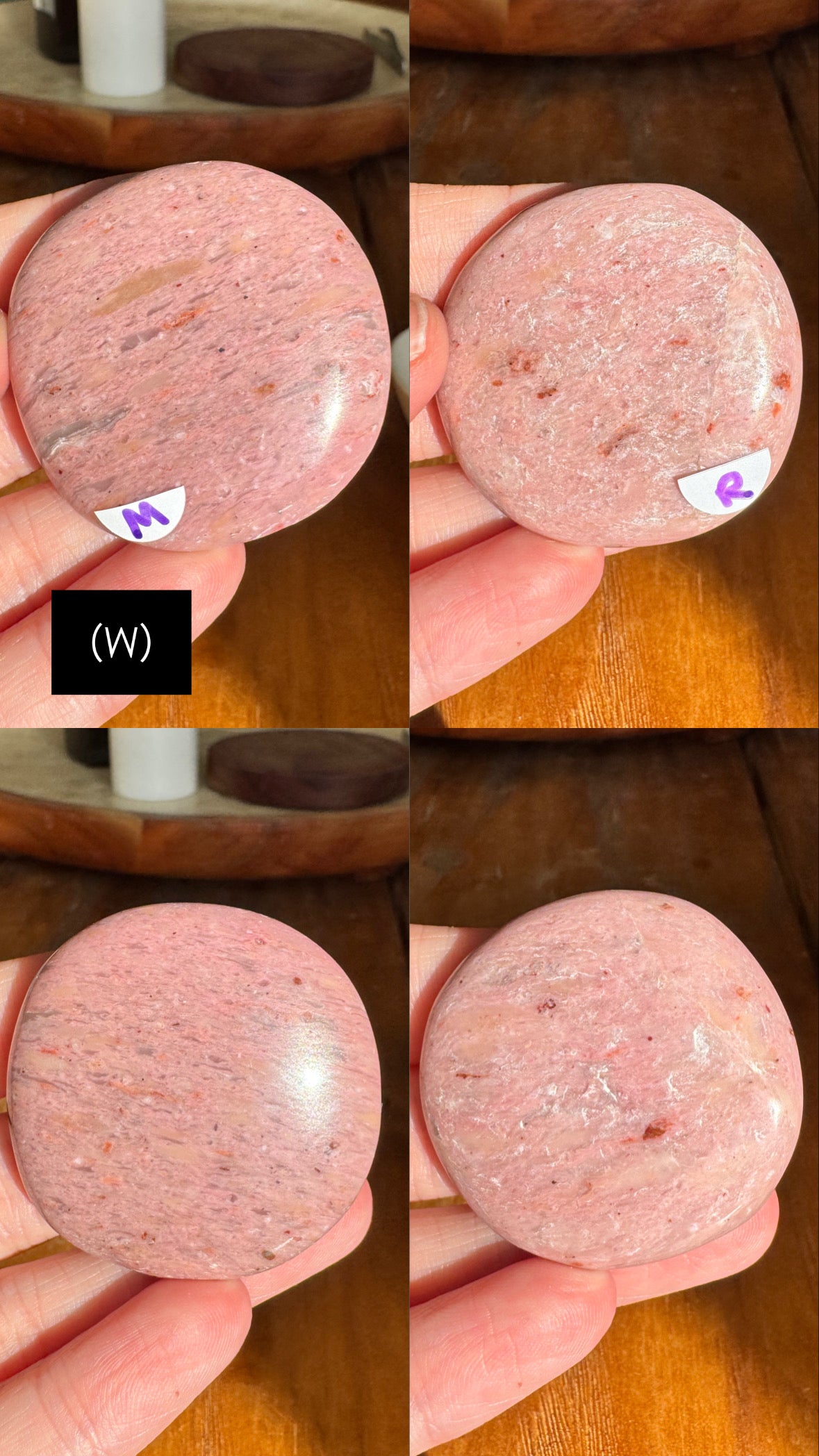 Pink Petrified Wood Flat Stones | Choose Your Own