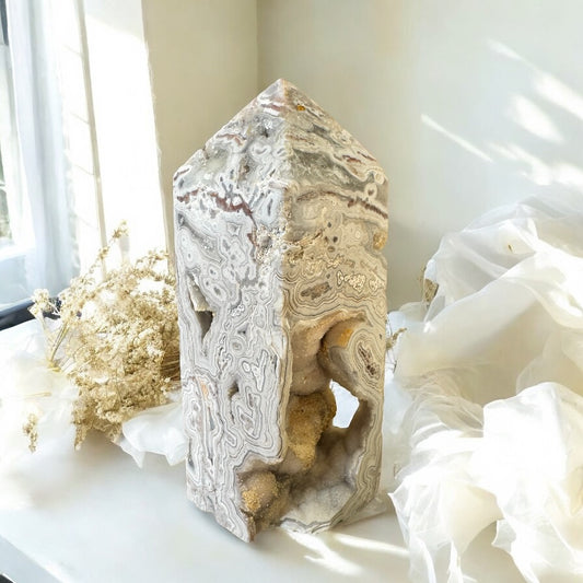 Mexican Crazy Lace Tower 9.5cm