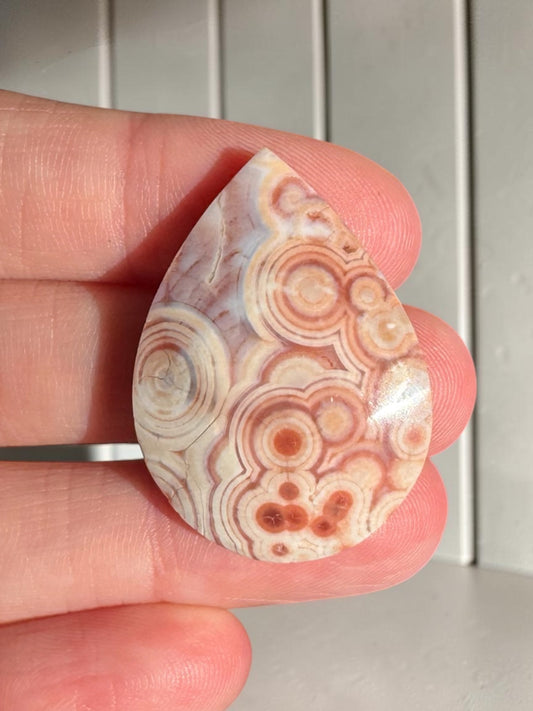 Ocean Jasper Cab