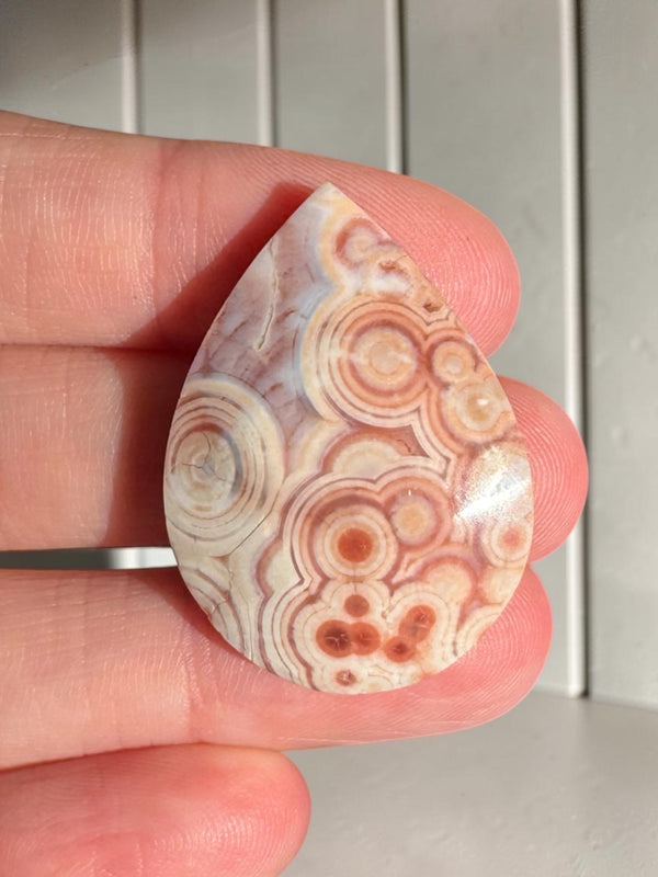 Ocean Jasper Cab