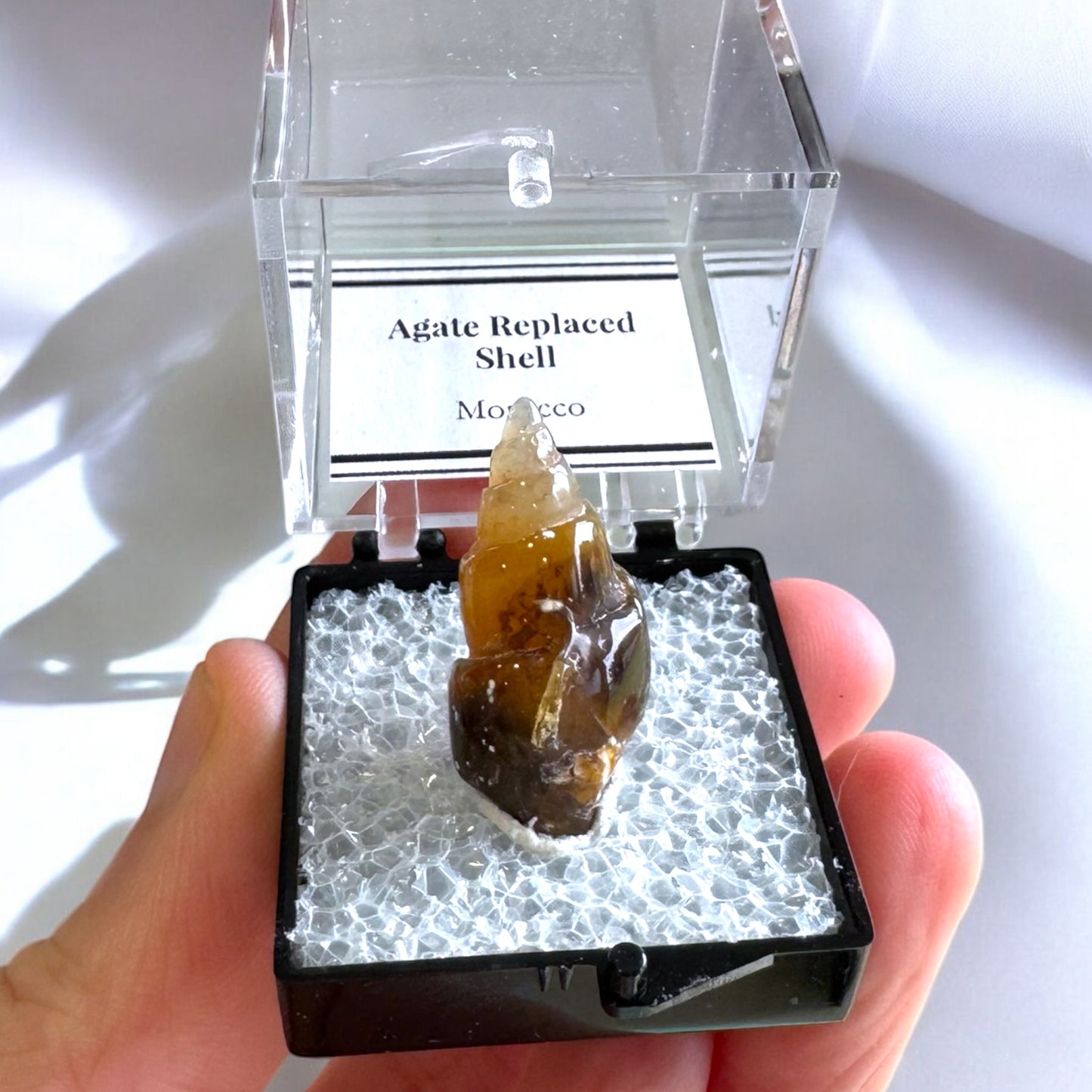 Agate Replaced Shell (g)