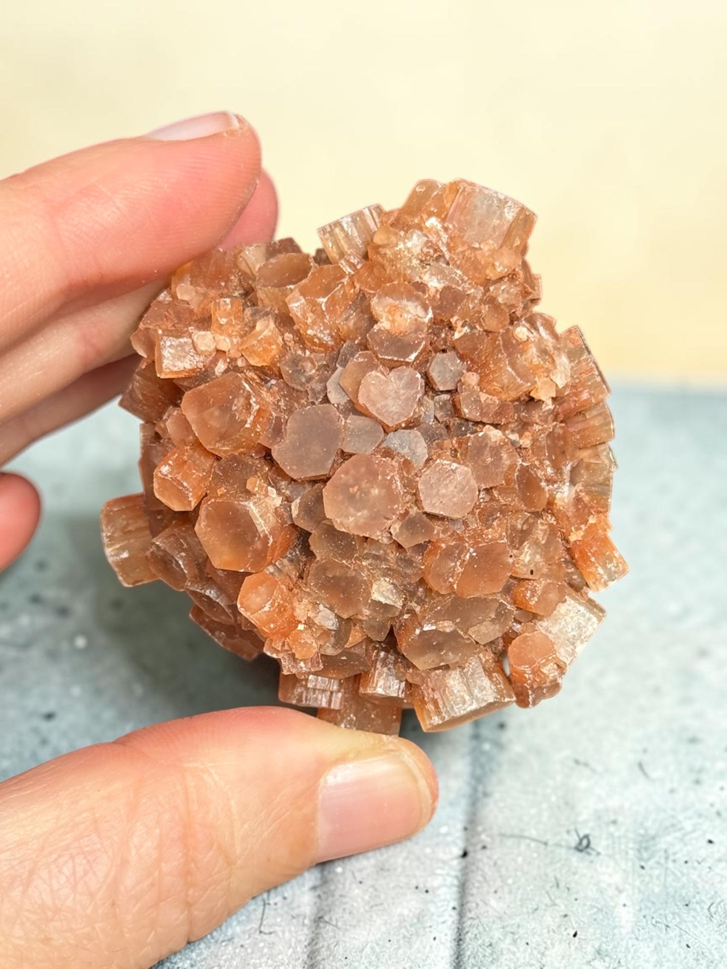 Aragonite Sputnik Cluster