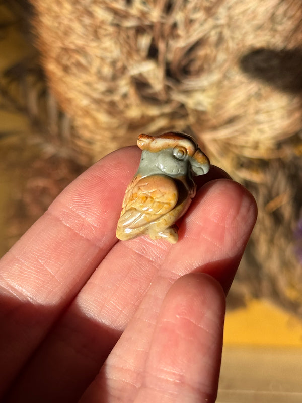 Alashan Agate Mini Parrot Carving