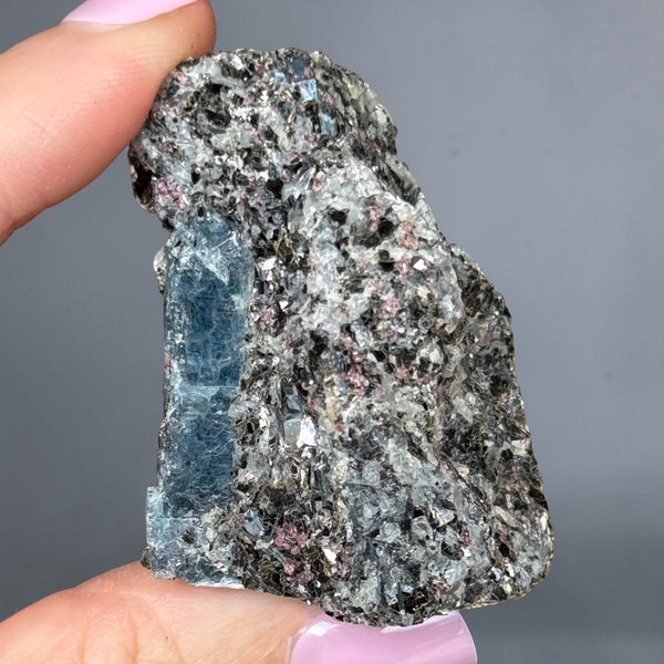 Kyanite, Garnet, Albite & Biotite Specimen