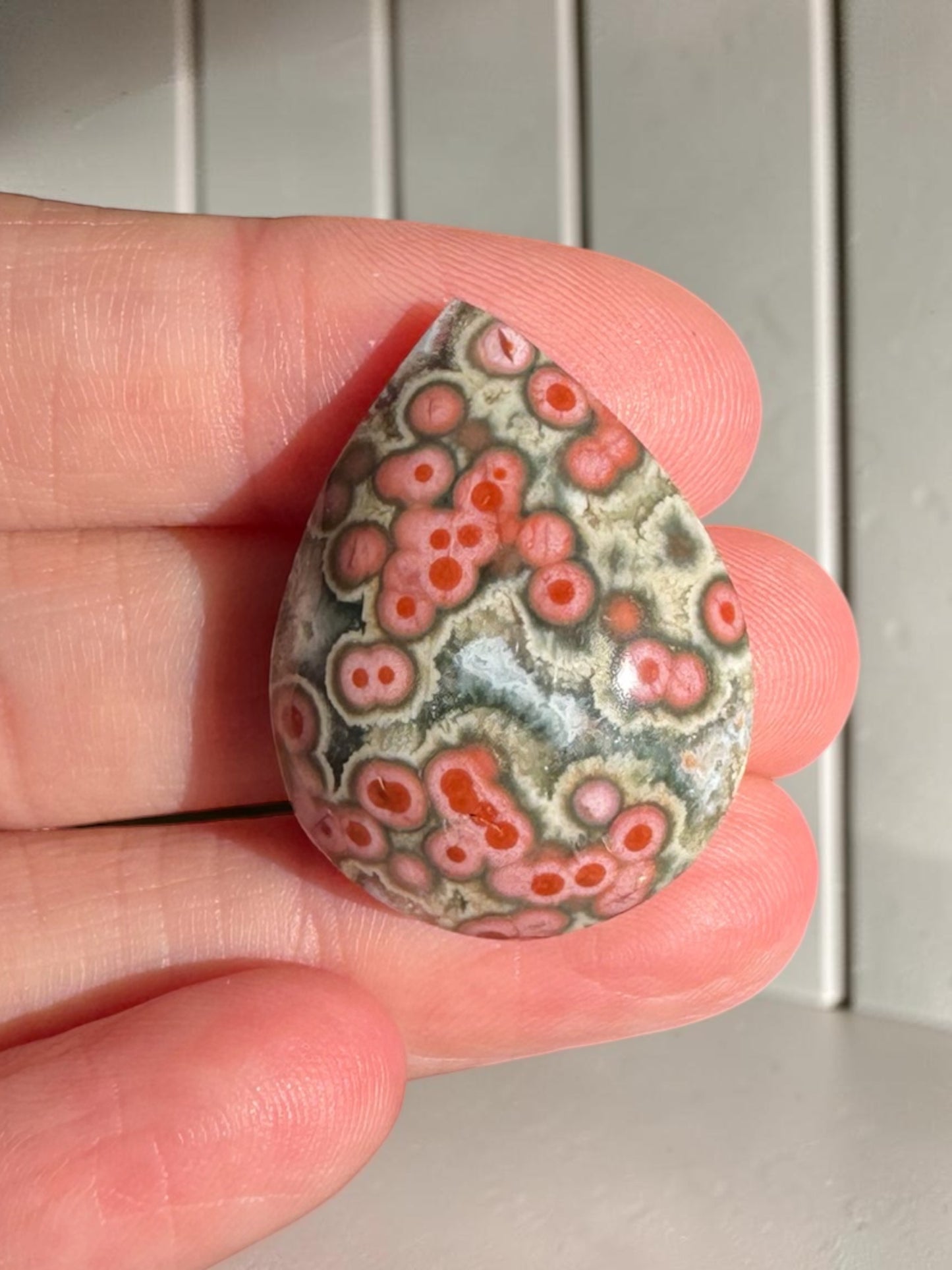 Ocean Jasper Cab